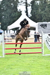 2026-08-21A-ELP_4321