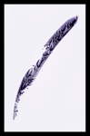 Quill