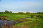 Soomaa National Park, Estonia