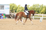 SBM_012014