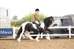 SBM_00240