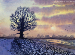 Watercolour paintings portfolio