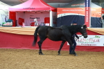 SBM_15975