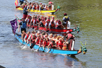 THE YORK ROTARY DRAGON BOAT CHALLENGE 2026 - 329 of 426