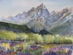 WCL 10123 Springtime in the Tetons