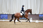 SBM_000531