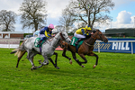 Race 6 portfolio