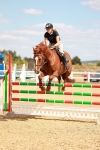 SBM_007131