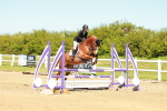 SBM_000595