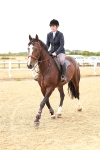 SBM_005038