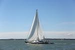 160826 BLUE ROGER Y92A6462