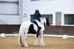SBM_003179
