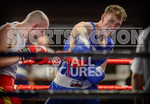 BOUT 8 - Cam Hards v Darren Williams portfolio