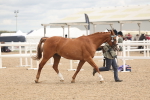 SBM_16963