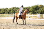 SBM_007776