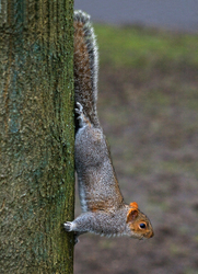 Wildlife portfolio