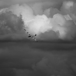 Foreboding