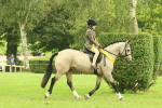 SBM_74994