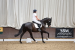 Novice 2 portfolio