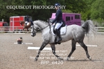 BPP_6420
