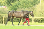 SBM_66402