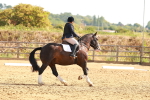 SBM_000503