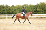 SBM_001614