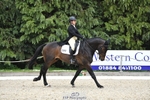 326-GULLITH-Emily_Lochore-WEDTrotUp+DR portfolio