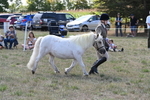 WJ6_4933