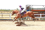 SBM_002264