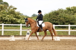 SBM_005347