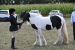 WJ6_6645