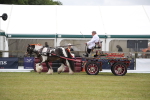 SBM_07044