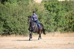 WJ6_6828