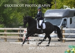 BPP_6582