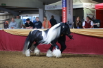 SBM_14895