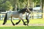 SBM_58561