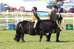 JPP_0663