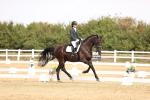 SBM_012915