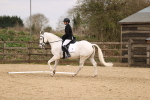 SBM_002264