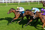 160525-Race 7-Delicacy-7450