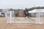 JAC_2018