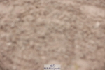 241101A-080152-00019