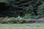 FOM_0759