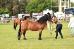 SBM_00514