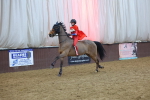 SBM_004447