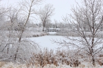 Ice & Snow