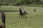 BVHT 140517  IXC -794