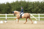 SBM_018501