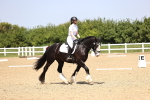 SBM_009053